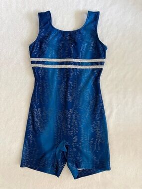 Danskin Now | Metallic Stripe Gymnastics Dance Biketard Leotard Blue Silver 6/6X